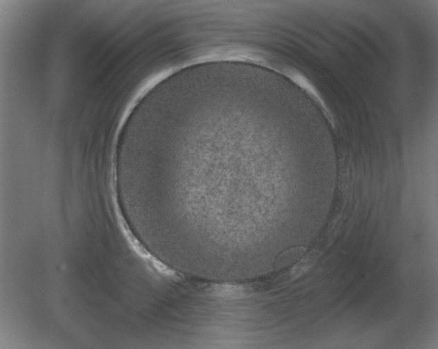 X0000080721088200612221221