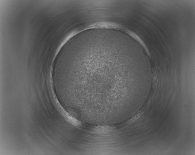 X0000080721091200612221221