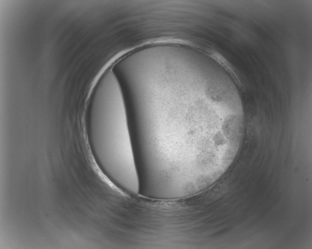 X0000080721092200612221221