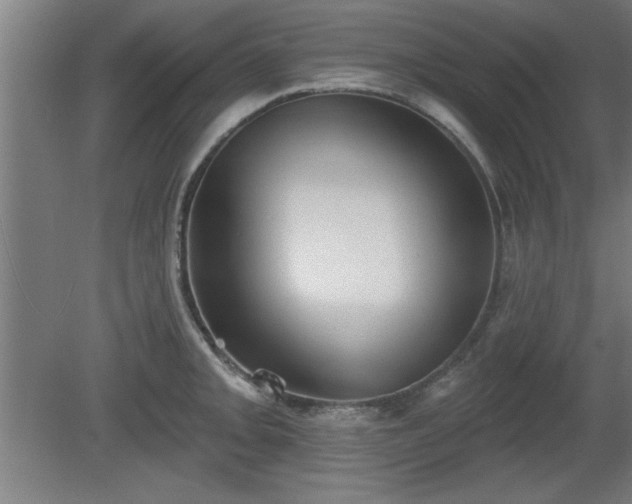 X0000080721093200612221221