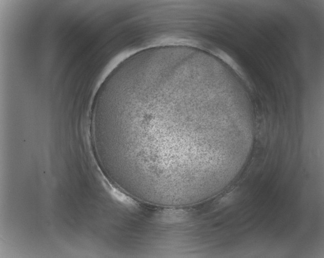 X0000080721094200612221221