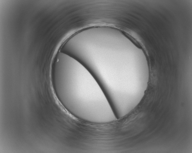 X0000080721096200612221221