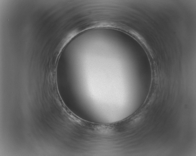 X0000080721097200612221221