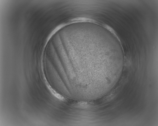 X0000080721098200612221221