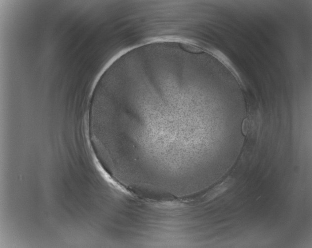 X0000080721100200612221221