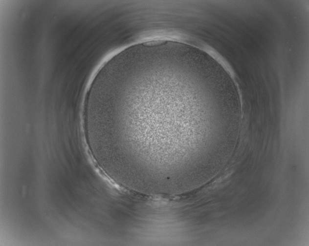 X0000080721104200612221220