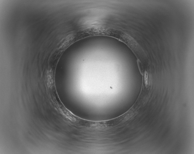 X0000080721107200612221220