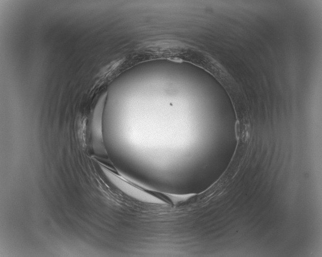 X0000080721108200612221220