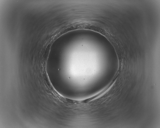 X0000080721109200612221220