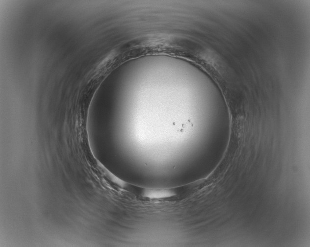 X0000080721111200612221220