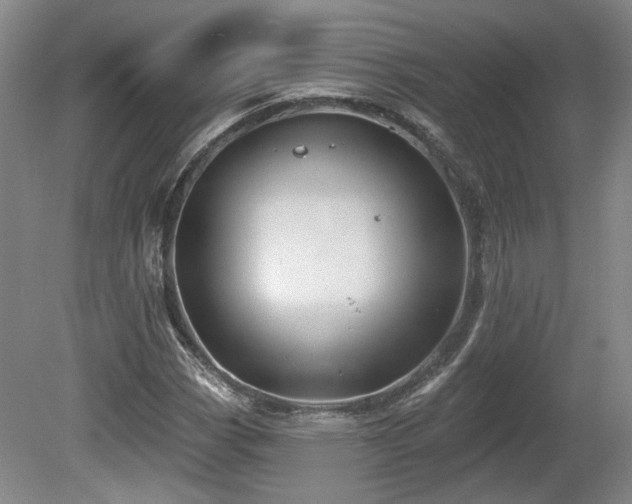 X0000080721113200612221220