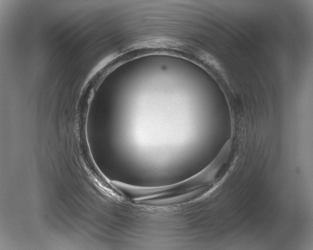 X0000080721114200612221220