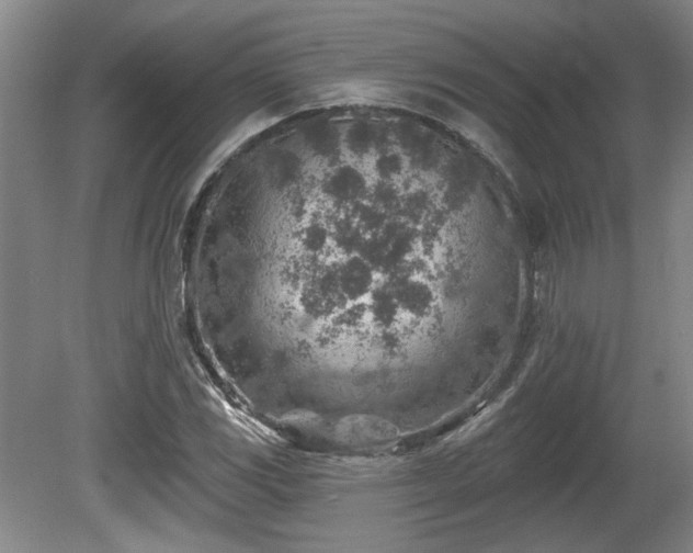 X0000080721117200612221220