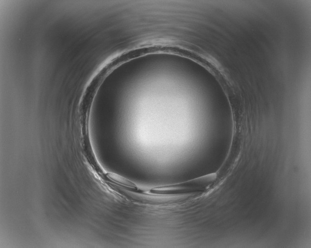 X0000080721118200612221220