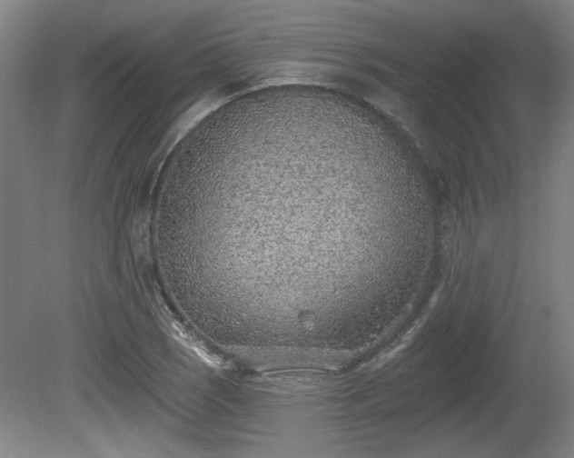 X0000080721121200612221220