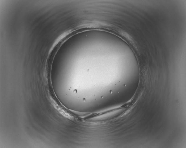 X0000080721122200612221220