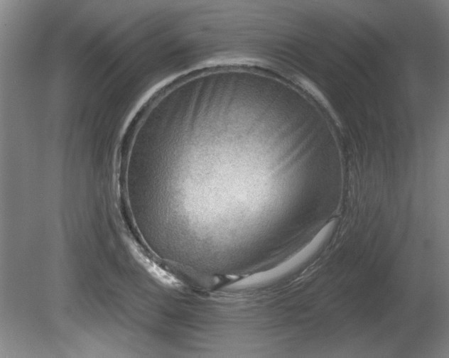 X0000080721124200612221220