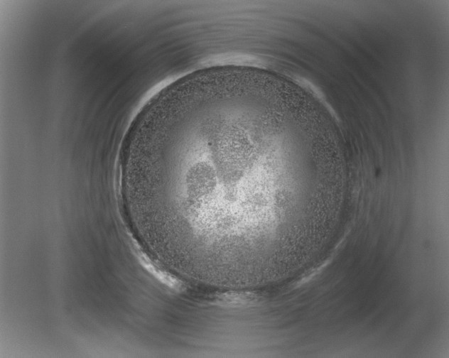 X0000080721125200612221220