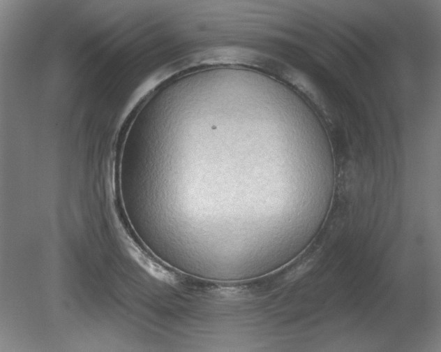 X0000080721130200612221220