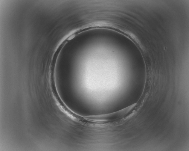 X0000080721134200612221220