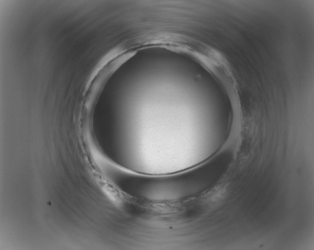 X0000080721138200612221220