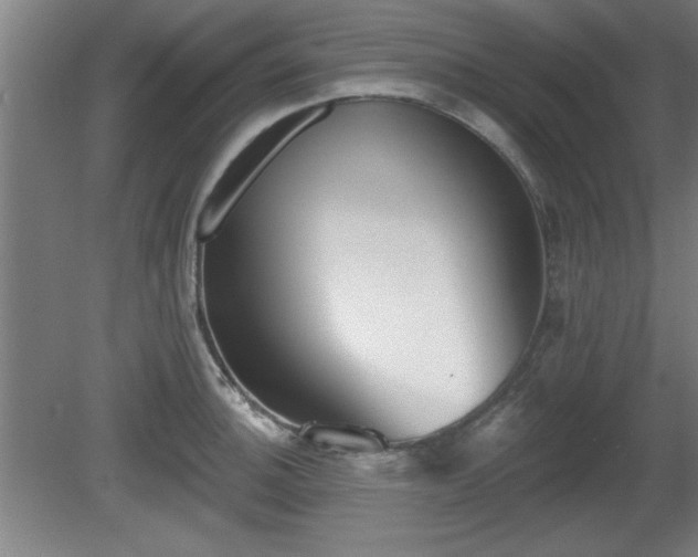 X0000080721140200612221220