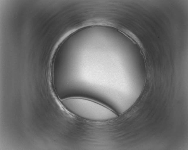 X0000080721144200612221220