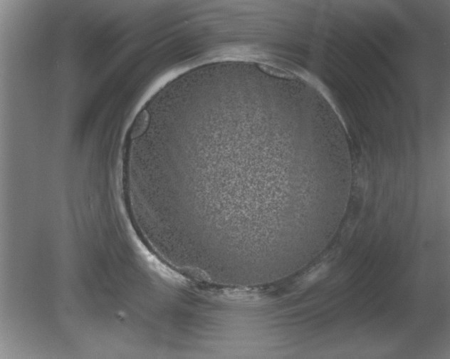 X0000080721147200612221220