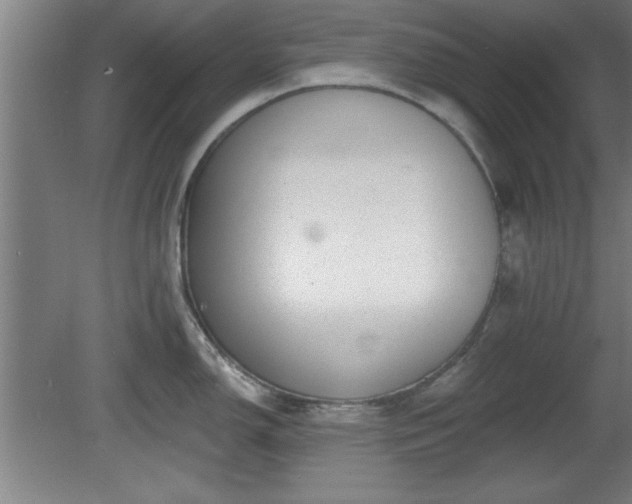 X0000080721150200612221220