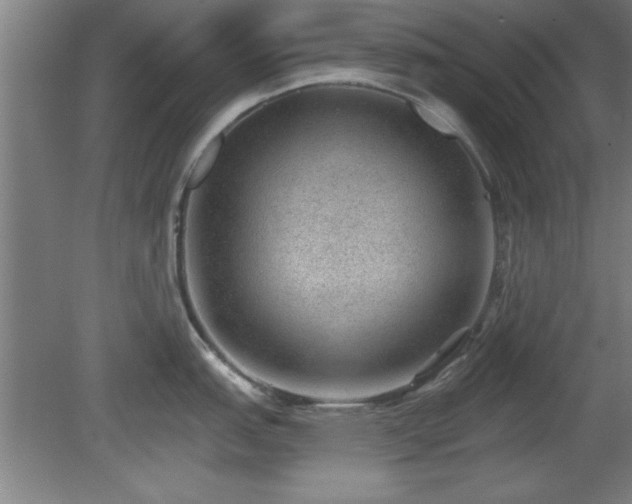 X0000080721151200612221220