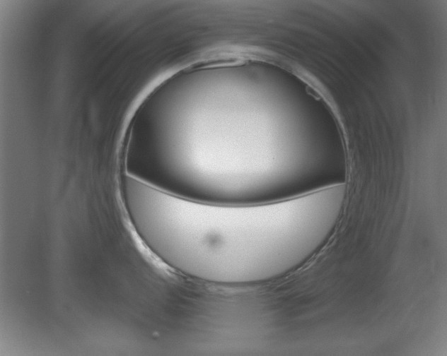 X0000080721152200612221220