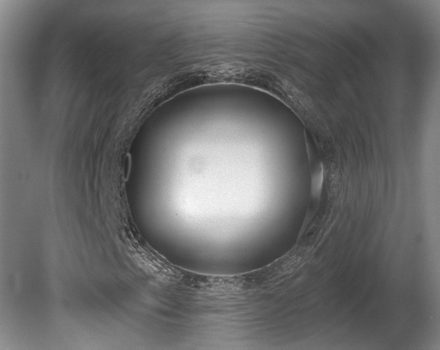 X0000080721153200612221220