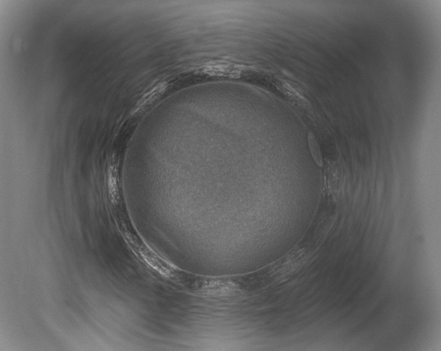 X0000080721154200612221220