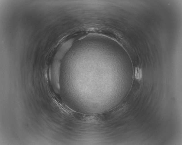 X0000080721155200612221220