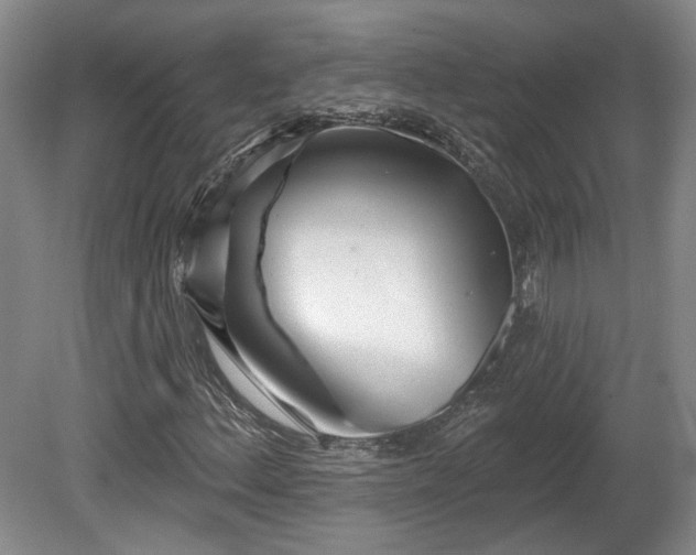 X0000080721156200612221220