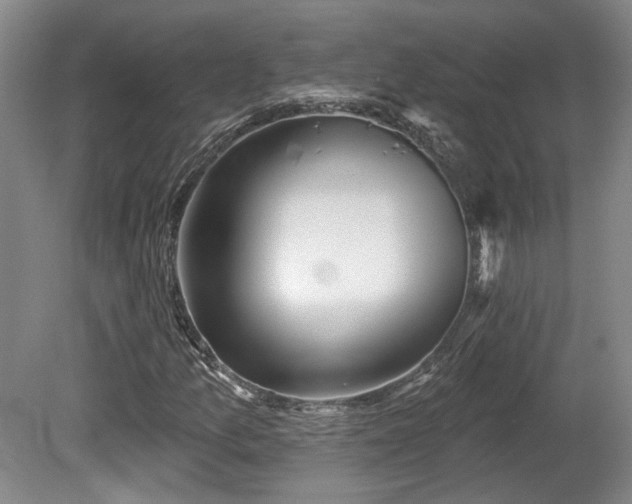 X0000080721157200612221220