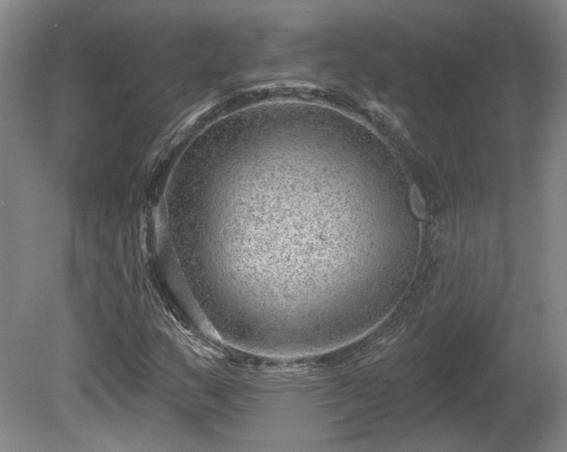 X0000080721159200612221220