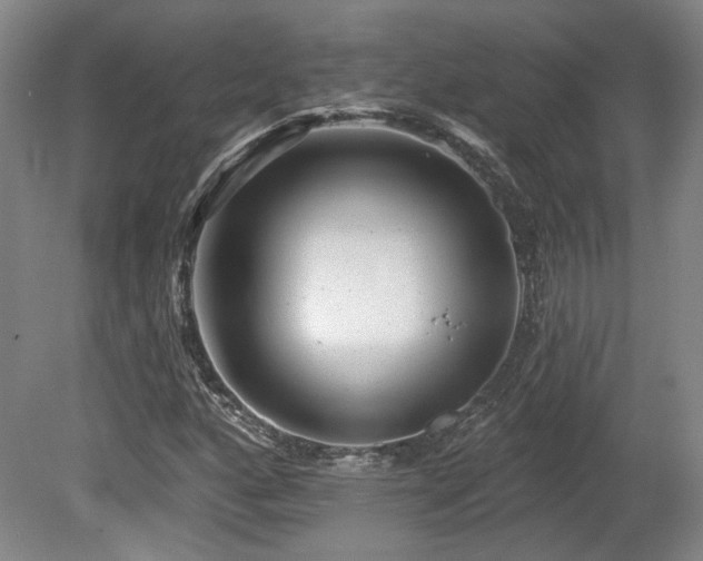 X0000080721160200612221219