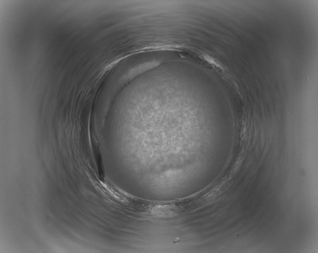 X0000080721161200612221219