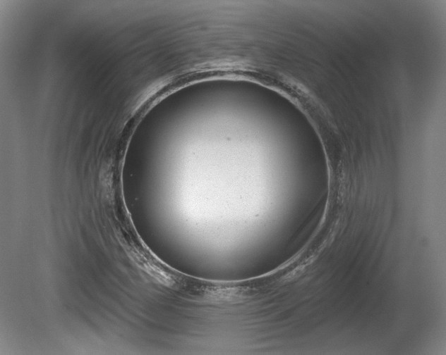 X0000080721162200612221219