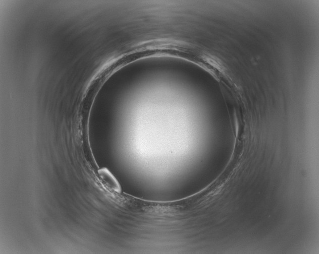 X0000080721164200612221219