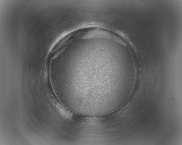 X0000080721167200612221219