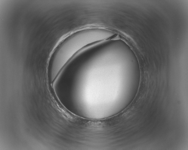 X0000080721168200612221219