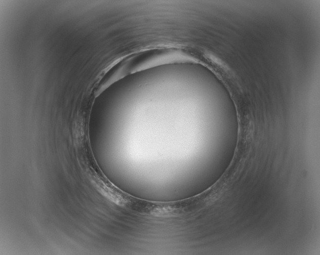 X0000080721169200612221219