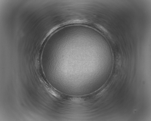 X0000080721170200612221219