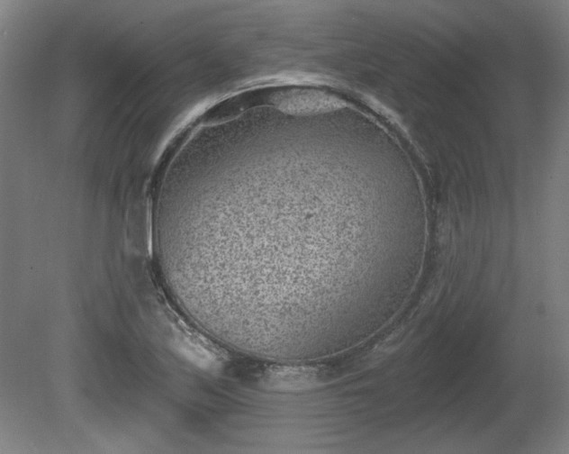 X0000080721171200612221219