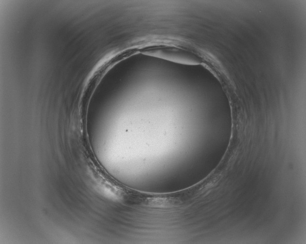 X0000080721172200612221219