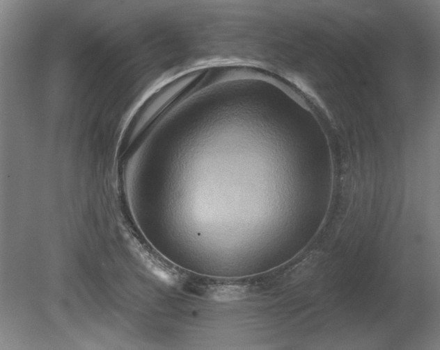 X0000080721173200612221219