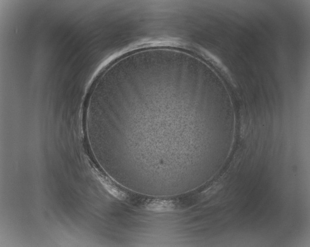 X0000080721174200612221219