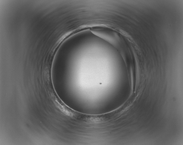 X0000080721177200612221219